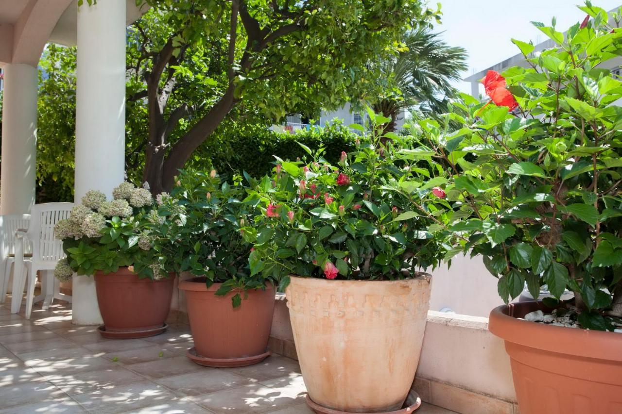 פודגורה Aparthotel Villa Mozart מראה חיצוני תמונה